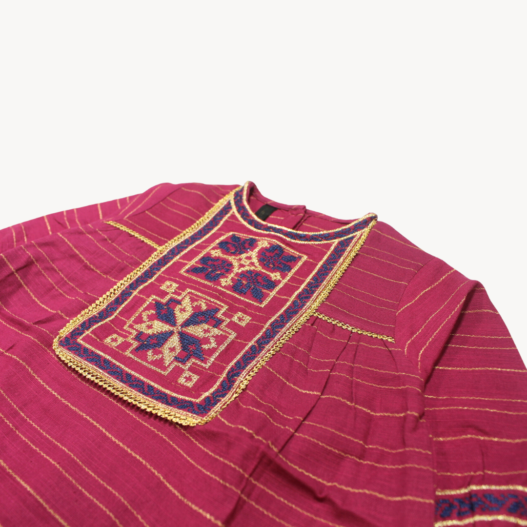 Bashu Purple Lining Embroidered Khaddar Kurti