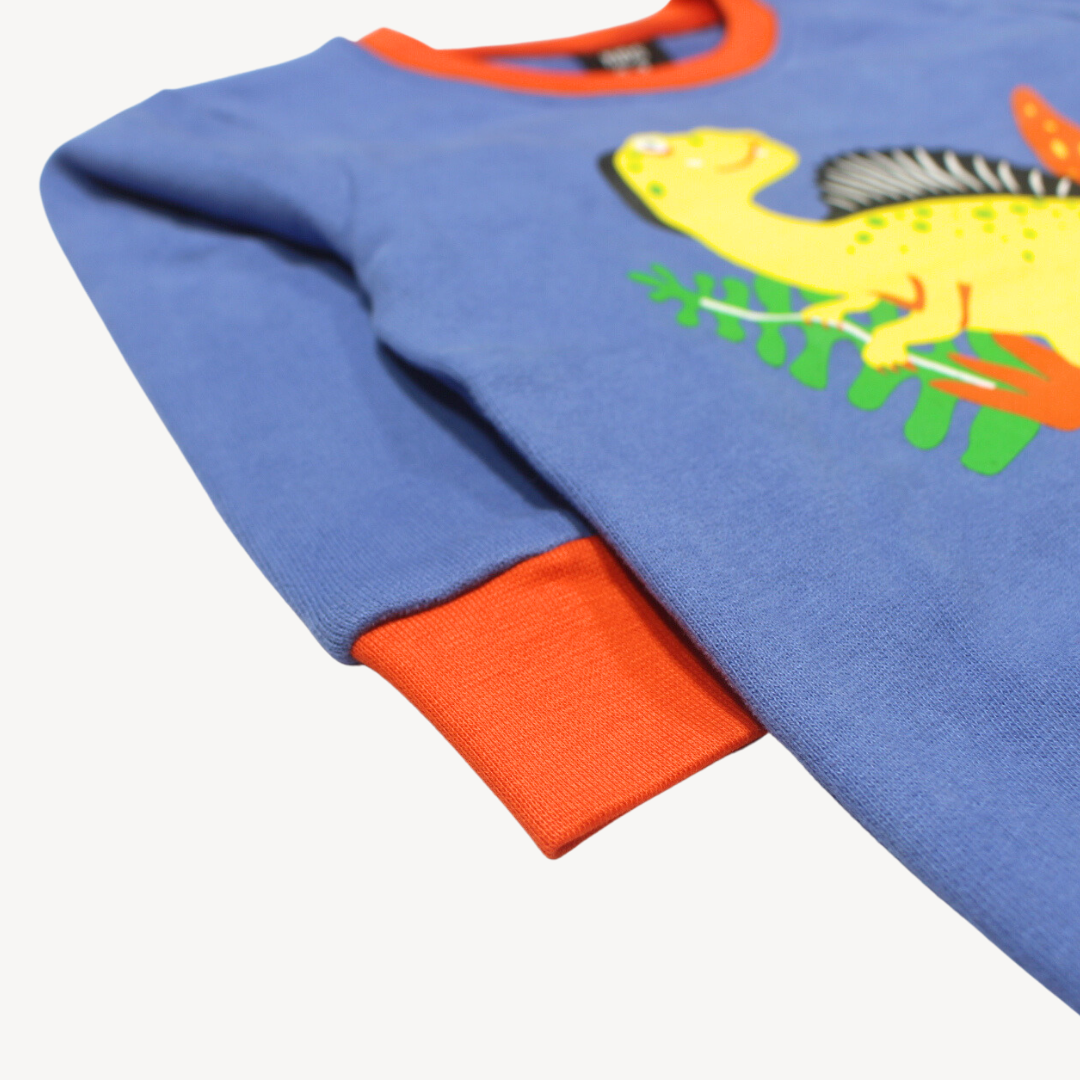Light Blue Orange Ribbed Dino Printed Terry Sweat Shirt