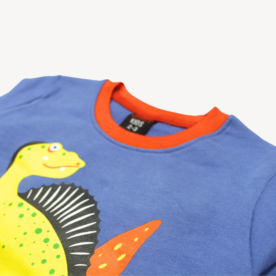 Light Blue Orange Ribbed Dino Printed Terry Sweat Shirt