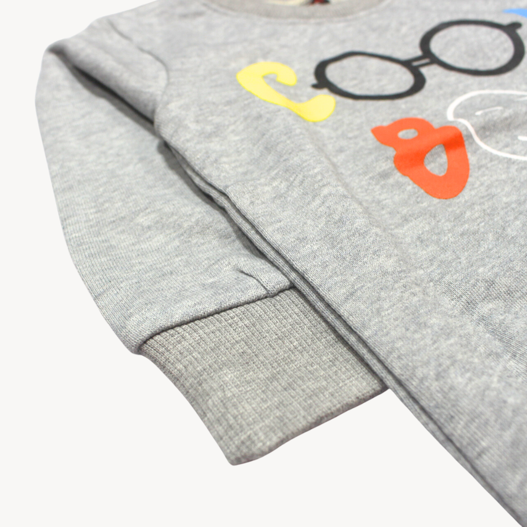 Grey Cool Boy Printed Terry Sweat Shirt